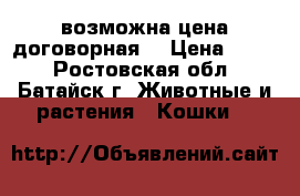  возможна цена договорная  › Цена ­ 500 - Ростовская обл., Батайск г. Животные и растения » Кошки   